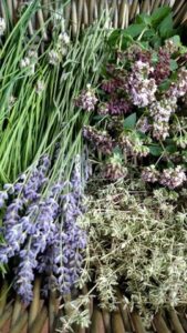Drying Herbs to Savor the Flavor Image